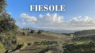 Fiesole, Italy | Views of Florence & Farm Experience