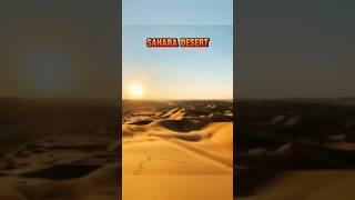 Sahara Desert  #science #sciencefacts #shorts