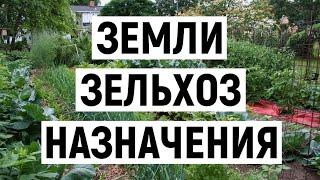 ‼️Особенности инвестиций в земли сельхоз назначения