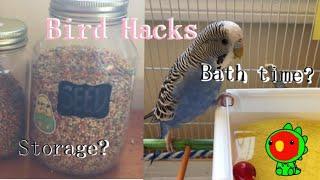 Helpful Hacks For Bird Owners | Budgie Tips And Tricks