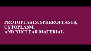 Morphology and Structure of Bacteria: Protoplasts, Spheroplasts, Cytoplasm, Nuclear material