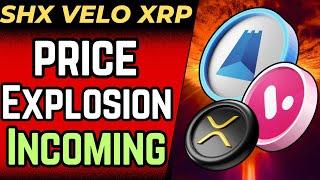 SHX/VELO: PRICE SUPPRESSION FOR ADOPTION? (XRP)