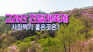 고려산 진달래축제/4월14일 상황/사진찍기 좋은곳#고려산진달래 #고려산 #강화도벤댕이무침