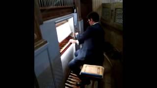 Vincenzo Zito Organista: dal Concerto di Inaugurazione "Organo A. Fedeli - 1807"