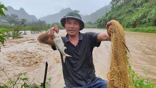 Trận lũ khủng khiếp(bản vựt bon C. Mai) /Anh 1985 Vlogs