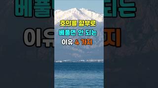 호의를 함부로 베풀면 안 되는 이유 4가지  #지혜 #명언  #좋은글 #건강 #shorts