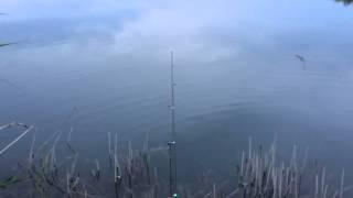VID 20140616 WA0000