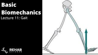 Biomechanics Lecture 11: Gait