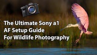 The Ultimate Sony a1 AF Setup Guide (For Wildlife Photography)