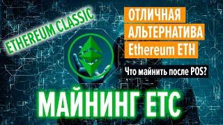 Майнинг Эфириум Классик (ETC). Как майнить Ethereum Classic на Windows, HiveOS, RaveOS