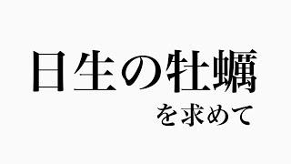 【日生の牡蠣を求めて】寄り道もたくさんしました〜