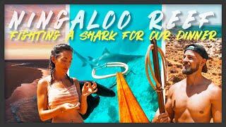 NINGALOO REEF - beach camping, spearfishing with sharks, catch and cook | Australia Road Trip