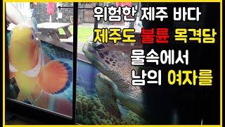 제주도 필수 여행 코스 1 위 스킨 스쿠버 다이빙 샵