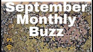 September 2024 Monthly Buzz