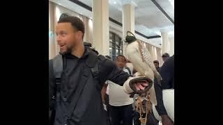 #Warriors Stephen Curry holds Falcon in Abu Dhabi 