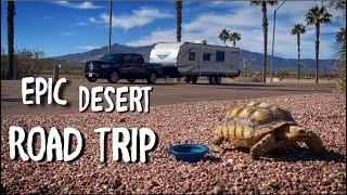 RV Life: Desert Road Trip with my Tortoise and my first Overnight Stay in a Walmart Parking Lot