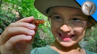 Brave Wilderness | Searching for Newts and Salamanders