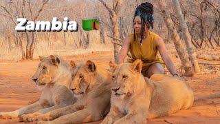 JBT Experience: This is ZAMBIA