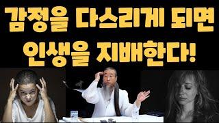 감정 조절이 어려운 충격적인 이유 [정법 모음]