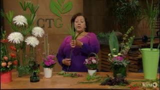 Flower Arrangements from the Garden |Trisha Shirey |Central Texas Gardener