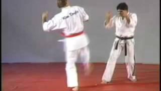 Hapkido Side Kick Defenses by Fariborz Azhakh