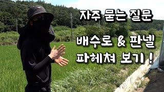 5억 유럽상추 하우스 리뷰.  ‍️시설 하우스 단골 질문, 판넬과 배수로   -1편