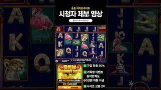 [슬롯][slot][슬롯머신] GREAT RHINO MEGAWAYS슬롯게임! BIG WIN 시청자 제보 영상!