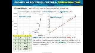 Bacterial Generation Time: Arithmetic Curve Vs Logarithmic Curve