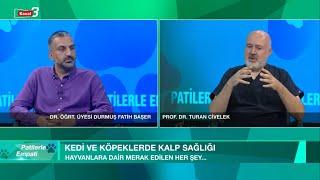 Patilerle Empati • 6 Temmuz 2024