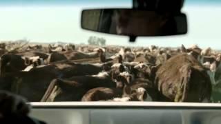 Chevrolet S10 - Comercial | VisionMotor