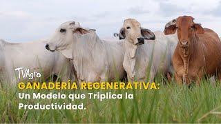 Ganadería Regenerativa: Un Modelo que Triplica la Productividad - TvAgro por Juan Gonzalo Angel