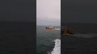 How Are Elbe Pilot Smooth Disembark In Catamaran Pilot Boat #short #shorts