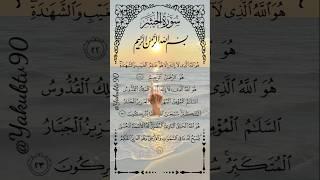 LAST 3 VERSES OF SURAT AL-HASHR  Egzon Ibrahimi #quran​ #tilawat​ #shorts​ #egzo