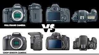 Full Frame vs.Crop Sensor: What's the Difference? | Photography Basics