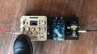 Fishman platinum pro eq, Walrus Fathom Reverb, tc electronic Bodyrez A.C guitar pedalboard test