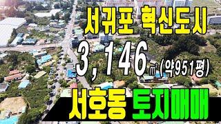 [부동산매물] ■토지매매■ 서귀포시 서호동 / 상하수도,도시가스 인접 / 혁신도시토지 / 건축토지 #제주도부동산 #제주도토지