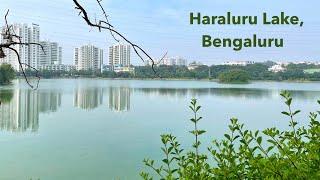 Haralur Lake | Bengaluru Lakes | Lakes in Bangalore | Running tracks in Bangalore | Haraluru Kere