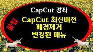 영상편집 레슨 CapCut 최신버전에서 변경된 배경제거 메뉴 4K 캪컷 어떤 배경도 제거하는 배경제거 메뉴 강좌 CapCut강좌4강