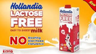 New Hollandia Lactose Free Milk