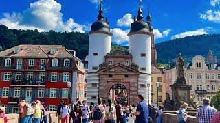 The Karl Theodor Bridge/Old Bridge || Alte Brücke Heidelberg 