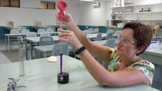 How to use a bulb pipette