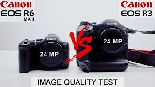 Canon R6 Mark II Vs Canon R3 | The BEST 24 MP CANON CAMERA EVER?