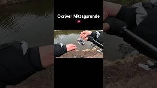 Oxriver Mittagsrunde #Oxriverputandtake #forellenangeln #forelle #fy #troutjara #Dänemark #ftm