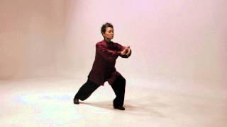 Simplified 24 Tai Chi routine