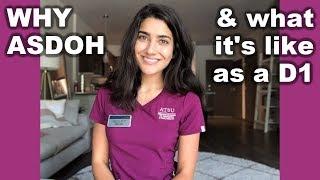 What Dental School is Like 3 Weeks in - Why ASDOH?