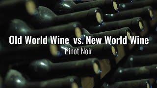 Old World vs. New World | Pinot Noir Region & Wine Tasting Comparison