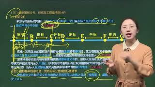 28 建设工程招标投标制度2 招标基本流程（1）