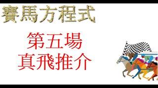 9月22日，星期日，沙田八草二泥日賽，第五場，真飛推介！