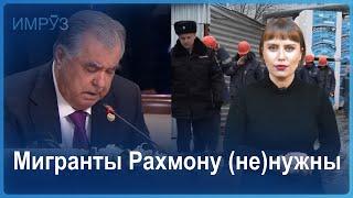 Почему президент Таджикистана не говорит о проблемах мигрантов в России? 26/10/2024