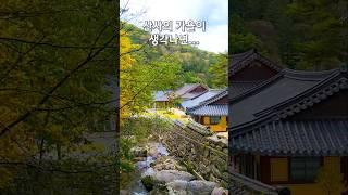 정선 정암사 #korea #travel